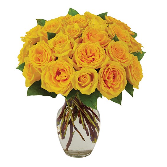 2 Dozen Yellow Roses 2 Dozen Yellow Roses